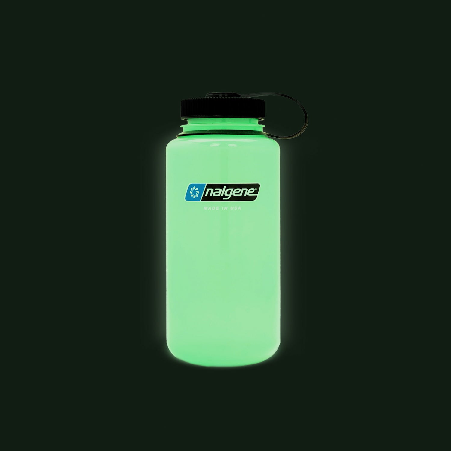 Glow In the Dark Widemouth Sustain 1L Nalgene Bottle BPA Free