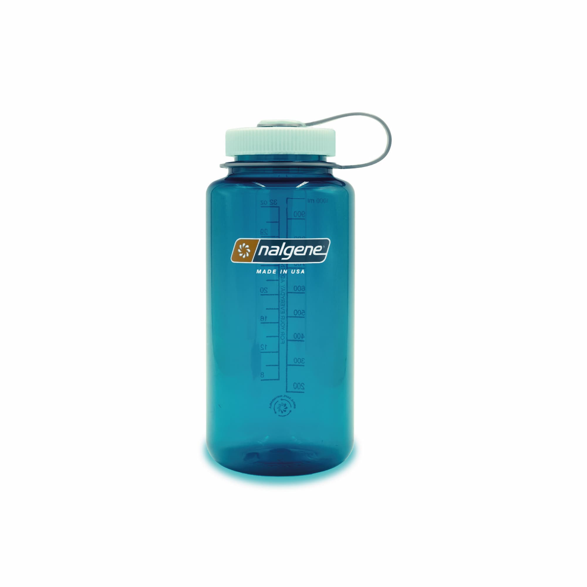 Trout Blue Widemouth 1L Sustain Water bottle Nalgene BPA with Peppermint Green Lid and Blue Green Body